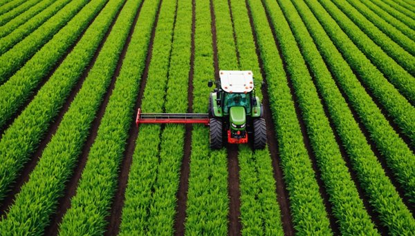 L'assurance agricole pour les cultures non conventionnelles : tout ce que vous devez savoir